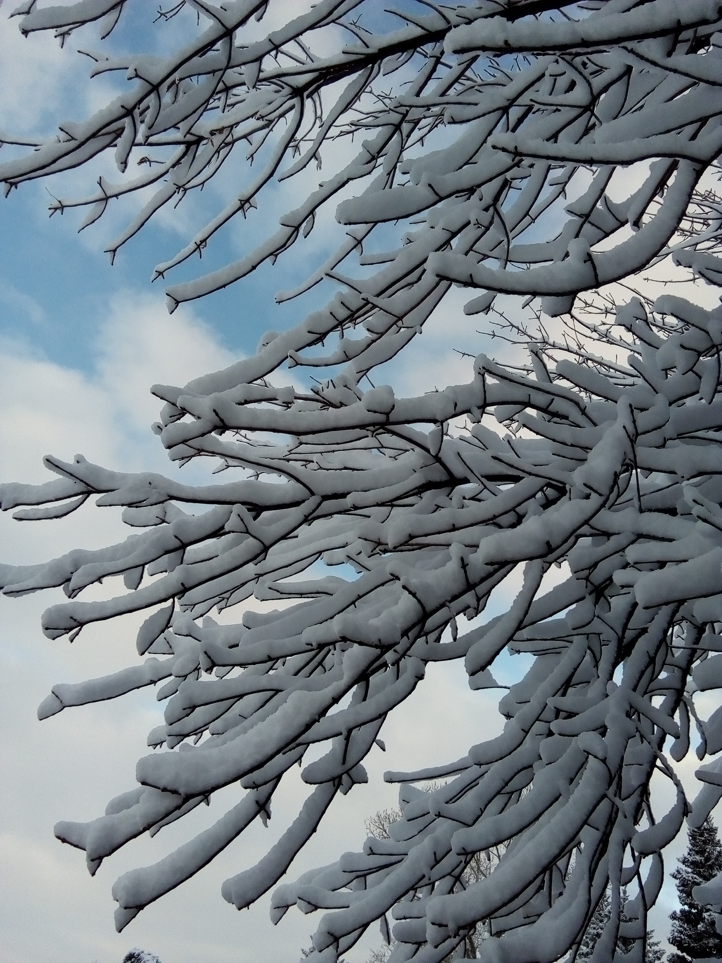 Shoot in Lethbridge Alberta-1 Nov 2019