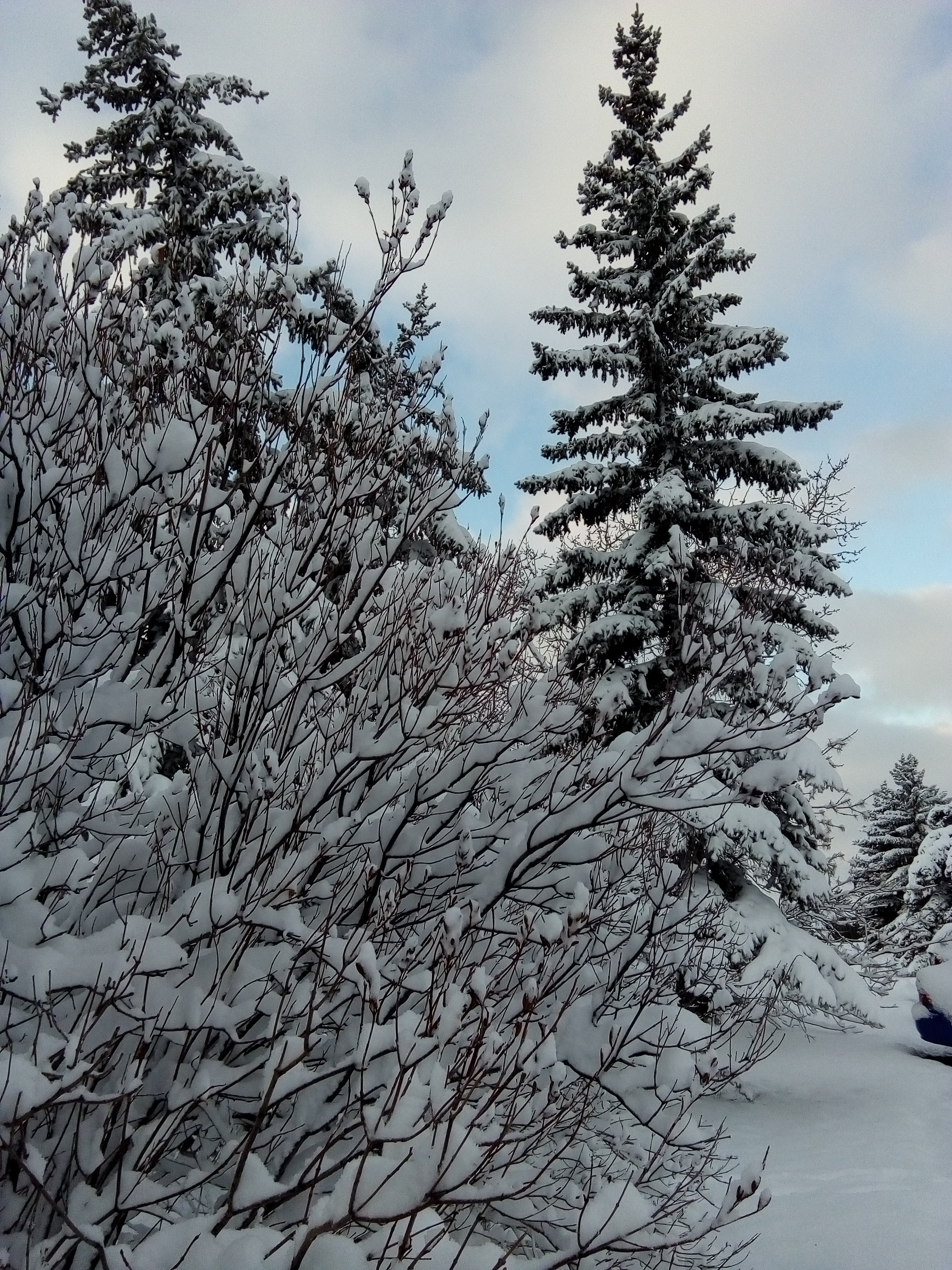 Shoot in Lethbridge Alberta-1 Nov 2019