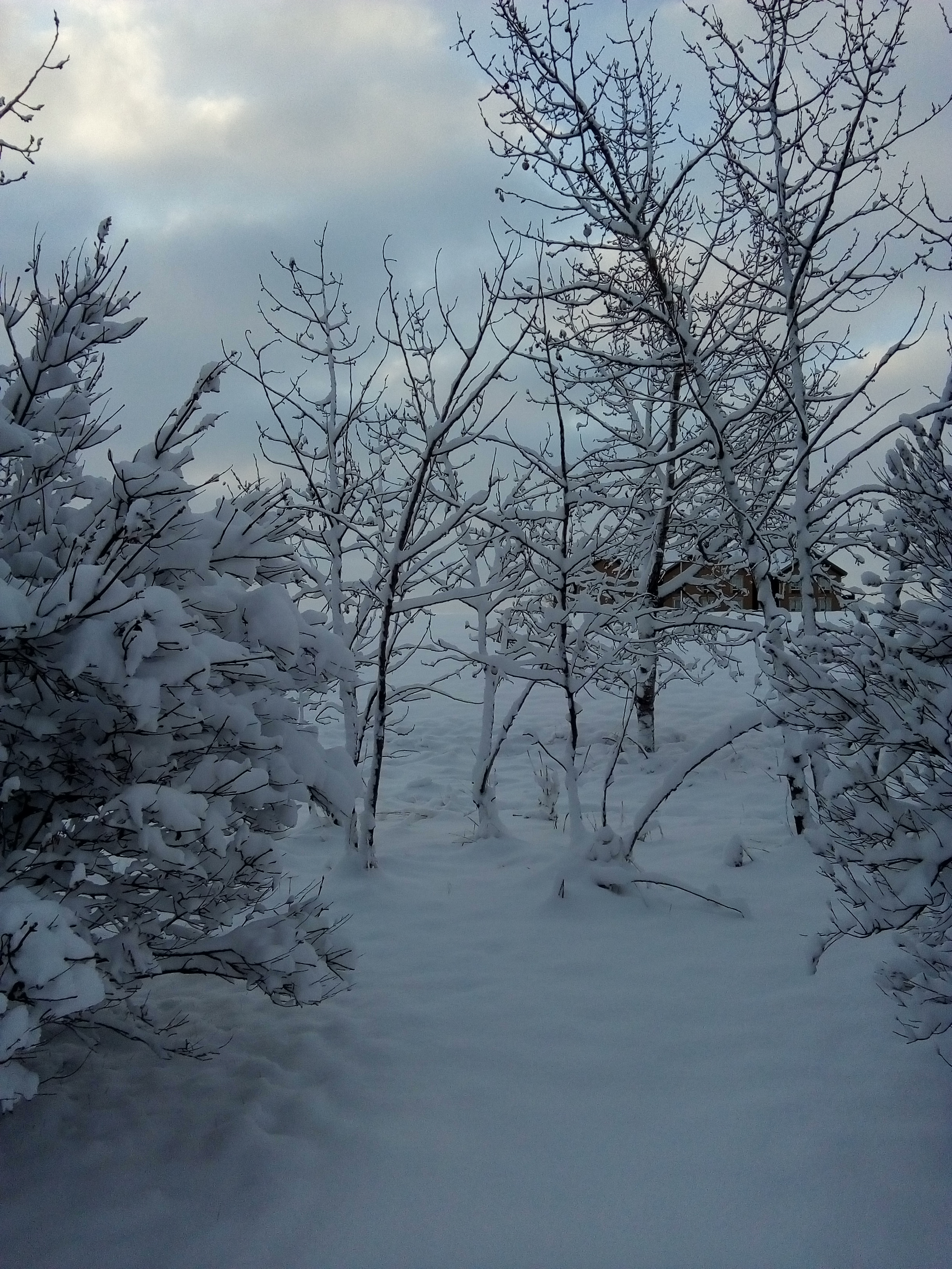 Shoot in Lethbridge Alberta-1 Nov 2019