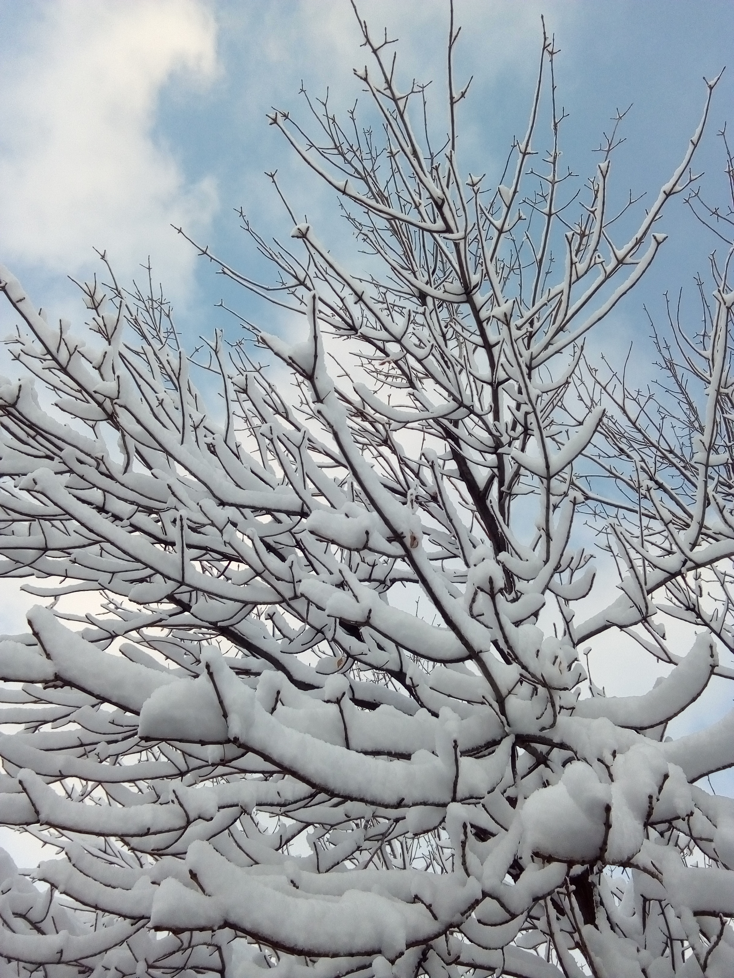 Shoot in Lethbridge Alberta-1 Nov 2019